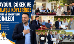 AK Parti İl Başkanı Aygün, Çökek ve Ulaşlı’da Talep ve Beklentileri Dinledi