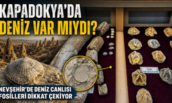 Kapadokya’da Deniz mi Vardı? Fosiller Merak Uyandırdı