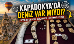Kapadokya’da Deniz mi Vardı? Fosiller Merak Uyandırdı