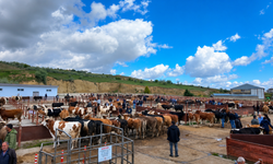 Nevşehir Hayvan Pazarı Geçici Olarak Kapatıldı