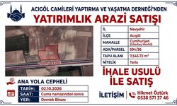 Acıgöl’de Nevşehir-Aksaray Yoluna 100 Metre Cepheli Yatırımlık Tarla İhale ile Satılacak