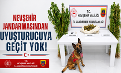 Nevşehir’de Jandarmadan Narkotik Operasyonu! 11 Kilo 786 Gram Esrar Ele Geçirildi