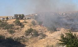 Nevşehir’de Otluk Yangını Büyümeden Söndürüldü