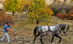Nevşehir’de Sonbahar Havası! İşte İlçe İlçe Hava Durumu