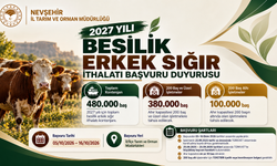 2027 Yılı Besilik Erkek Sığır İthalatı Başvuruları Başladı