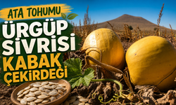 Nevşehir’de Kabak Çekirdeği Yarışmasının Birincisi Ürgüp Oldu!