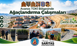 Avanos TOKİ Bölgesinde Ağaçlandırma Çalışmaları Sürüyor