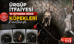 Nevşehir’de Kör Su Kuyusuna Düşen 2 Köpek Kurtarıldı