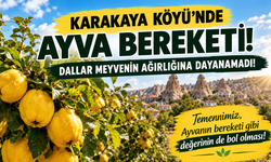 Ürgüp’ün O Köyünde Ayva Dalları Yere Değdi!