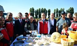 Nevşehir’in Meşhur Kabak Çekirdeğinde Hasat Heyecanı!