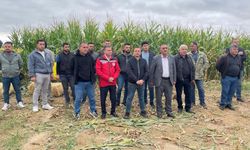 Nevşehir’de Silajlık Mısır Hasadı Başladı