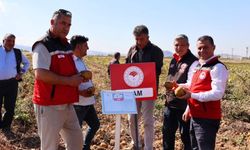 Nevşehir’de 8 Yerli Patates Çeşidinin Hasadı Yapıldı