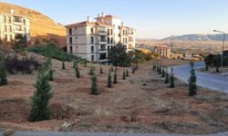 Avanos Yukarı Mahalle TOKİ Bölgesinde Ağaçlandırma Çalışmaları Başladı