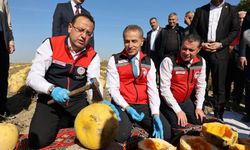 Nevşehir Kabak Çekirdeğinde Türkiye Zirvesinde!