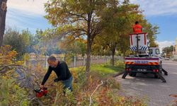 Gülşehir’de Park ve Bahçelerde Sonbahar Bakımı Sürüyor