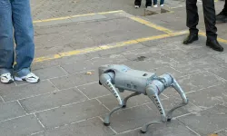 Kapadokya’da Robot Köpek Yabancı Turistlerin İlgi Odağı Oldu
