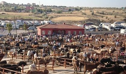Nevşehir Hayvan Pazarı Açıldı
