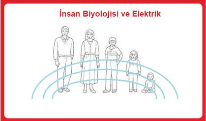 İnsan Biyolojisi ve Elektrik