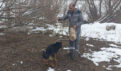 Başkan Bul'un 'Ürgüp'e köpek bıraktılar' iddiasına yalanlama