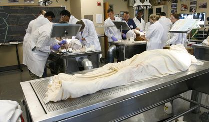 Niğde Ömer Halisdemir Üniversitesi İhaleyle Kadavra Alacak