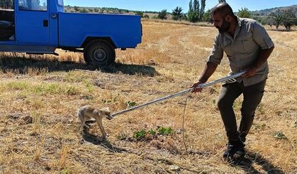 Nevşehir Göre’de Kuyuda Mahsur Kalan Tilki Kurtarıldı