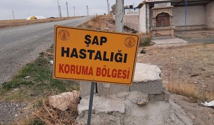 Nevşehir’de 7 köyde karantina kaldırıldı