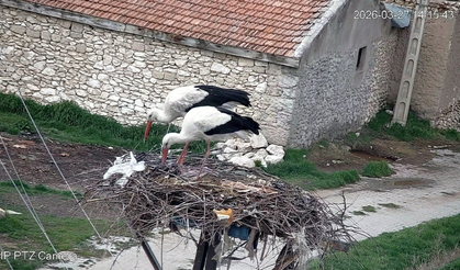 Nevşehir'de Akpınar'ın Maskotları “Garip” ve “Gurbet” Geri Döndü