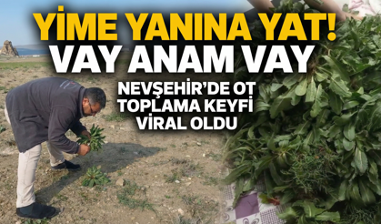 Nevşehirli Tır Şoförünün Ot Toplama Videosu Sosyal Medyayı Salladı