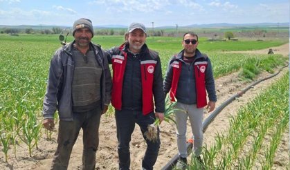 Nevşehir’de Sarımsak Tarlaları Yerinde İncelendi