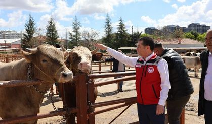 Kurban Bayramı Öncesi Nevşehir Hayvan Pazarında Sıkı Denetim