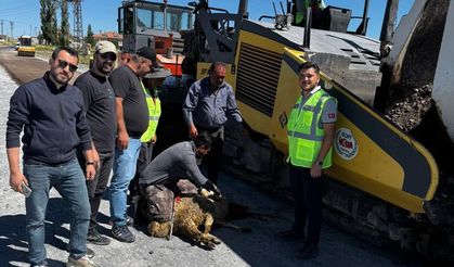 Nevşehir'in Çardak Köyü’nde Sıcak Asfalt Çalışmaları Başladı