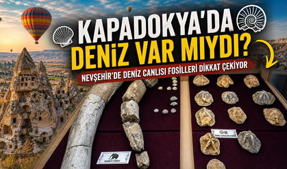 Nevşehir’de Bulunan Fosiller Merak Uyandırdı