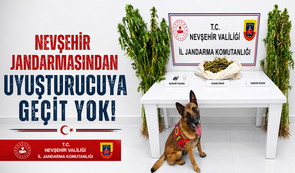 Nevşehir’de Jandarmadan Narkotik Operasyonu! 11 Kilo 786 Gram Esrar Ele Geçirildi