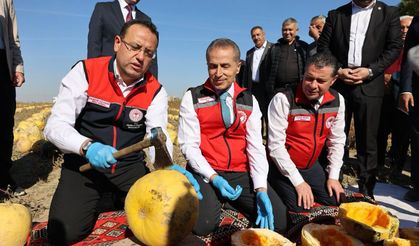 Nevşehir Kabak Çekirdeğinde Türkiye’nin Zirvesinde!