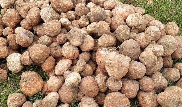 Mucizevi lezzetin adı Nevşehir Kemesi kapış kapış satılıyor