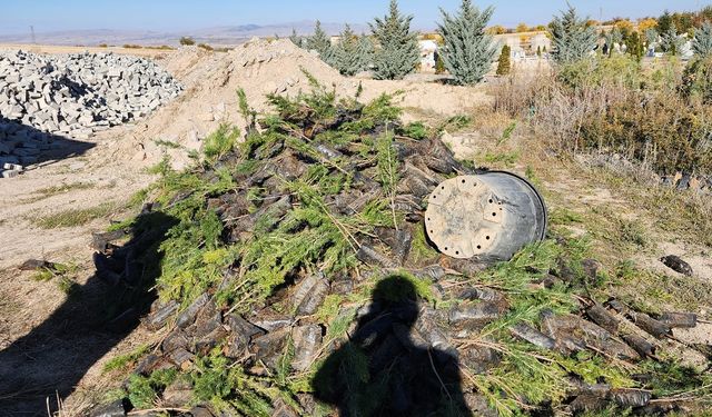 Nevşehir Belediyesi'nden Tatlarin'e 10 bin fidan