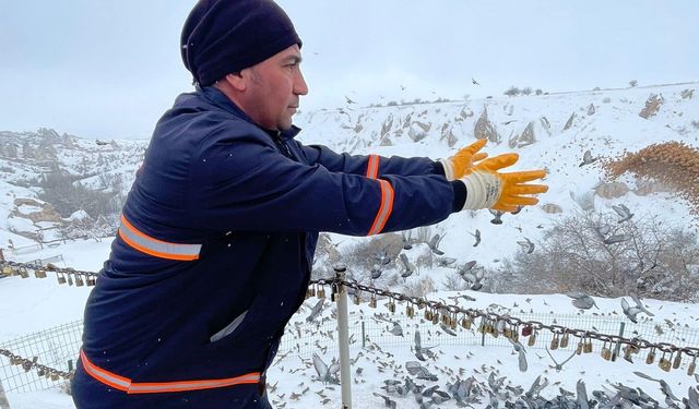 Uçhisar ile sembolleşen güvercinler besleniyor