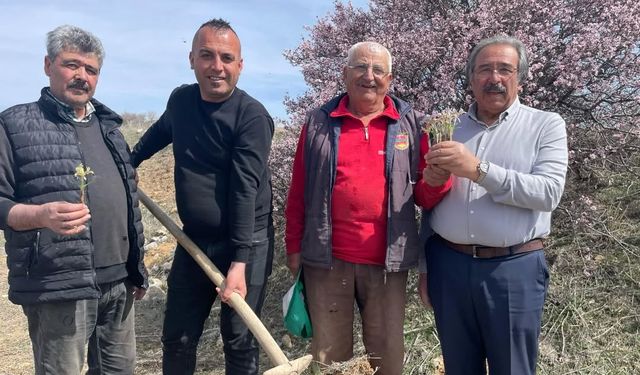 Avanos’ta baharın renkleri kendini gösterdi