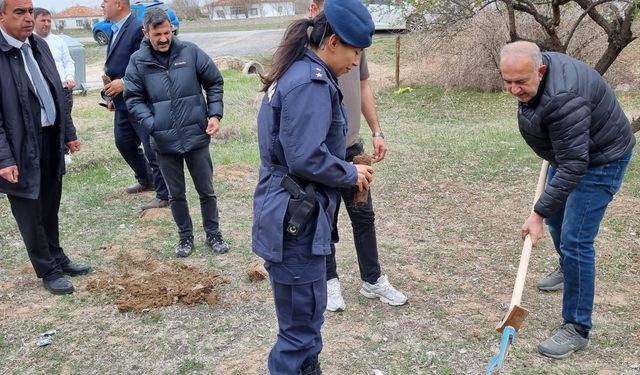 Nevşehir'in o köyünde bayramda bin adet fidan dikildi