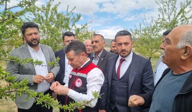 Nevşehir'de tarımın gündemi zirai don!
