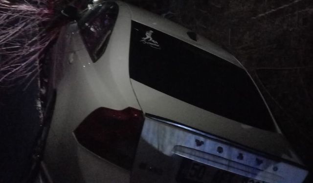 Nevşehir'de yola çıkan köpek kazaya neden oldu