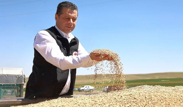 Nevşehir'de 2025 Hububat Hasat Sezonu Başladı