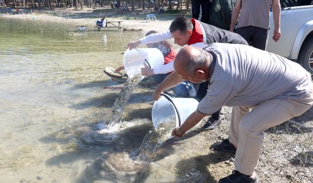 Nevşehir’de 856 Bin 750 Yavru Sazan Balığı Sularla Buluştu