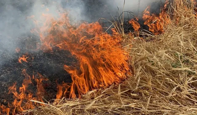 Nevşehir'de Yangın: 35 Dönüm Buğday Tarlası Kül Oldu