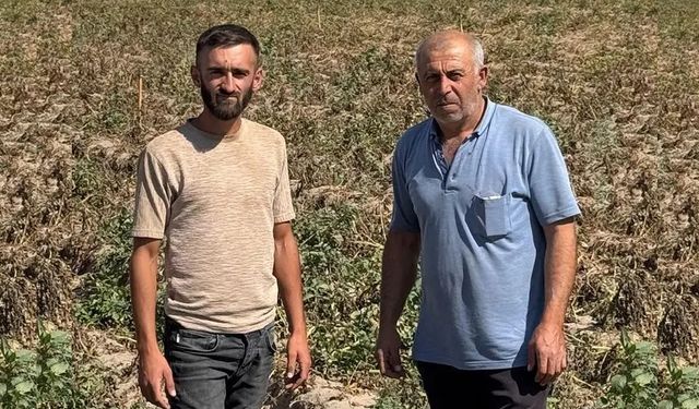 Nevşehir'de patates üreticileri eyleme hazırlanıyor