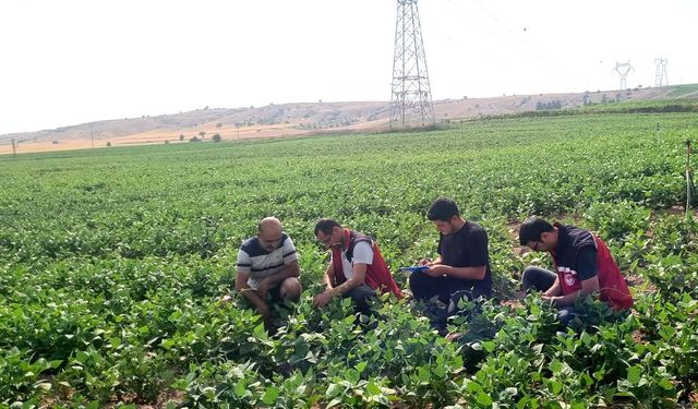 Nevşehir’de Fasulye Tarlalarında Denetim