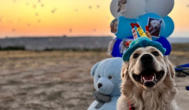 Aşkınızı ve Özel Günlerinizi Kapadokya’da Taçlandırın