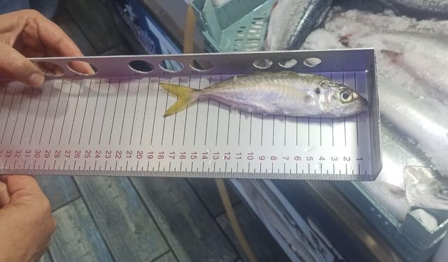 Nevşehir’de Balıkçılık Denetimleri Aralıksız Sürüyor