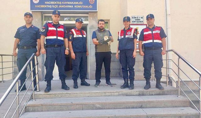 Nevşehir’de Nesli Tükenme Tehlikesindeki Baykuş Bulundu