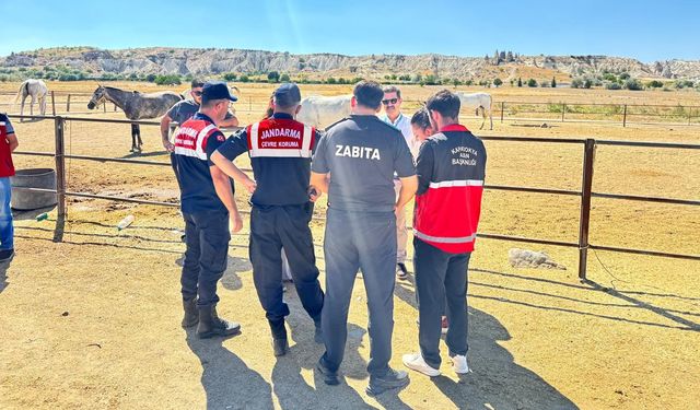 Kapadokya Alan Başkanlığı Kaçak At Çiftliklerine Göz Açtırmıyor